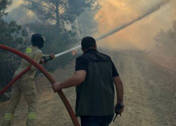 Antalya da Yanıyor! Ekipler Sevk Edildi