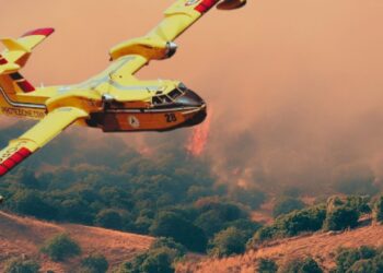 Aydın'da Korkutan Orman Yangını: Evler Hasar Aldı, Tahliye Başladı! Müdahale Sürüyor