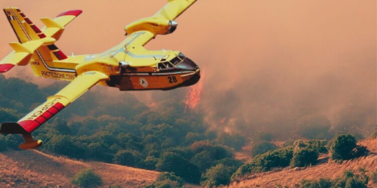 Aydın'da Korkutan Orman Yangını: Evler Hasar Aldı, Tahliye Başladı! Müdahale Sürüyor