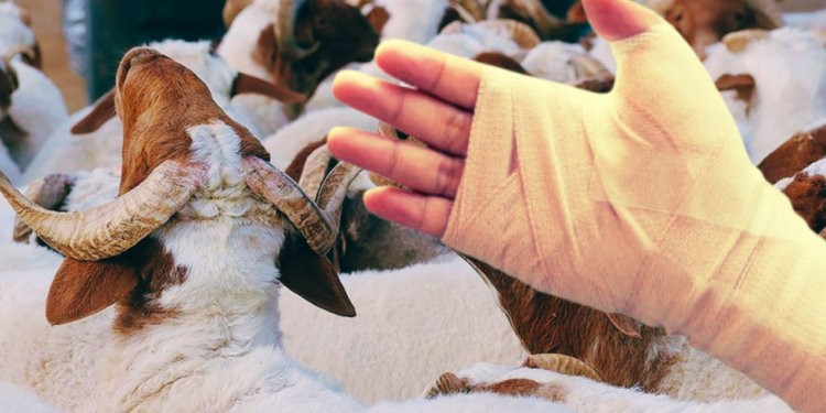 Bakan Memişoğlu Açıkladı: Bir Günde 14 Bin 372 Kişi Hastanelik Oldu