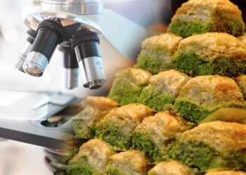 Bayram Öncesi Dikkat Çeken Araştırma, Baklavada Büyük Tehlike! Dışkı Kaynaklı Bakteri Çıktı