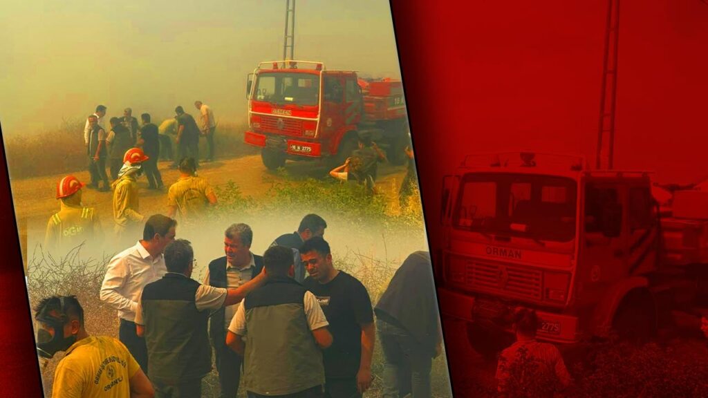 Bursa'da Orman Yangını: Müdahale Sürüyor, Bir İlçeye Elektrik Verilemiyor