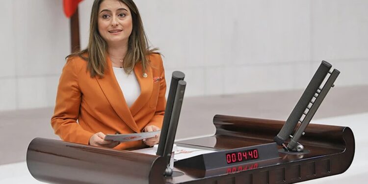 CHP’li Aysu Bankoğlu’dan İstanbul Sözleşmesi Hatırlatması: 'Milyonlarca Kadın İçin Hala Adalet Sağlanamadı'