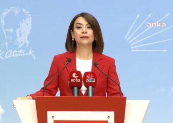 CHP'li Taşcıer'den Fatih Altaylı Tepkisi