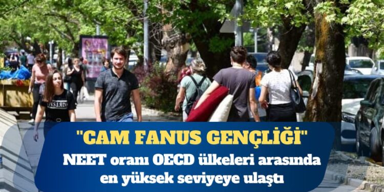 ”Cam fanus gençliği” OECD ülkelerinin zirvesine çıktı
