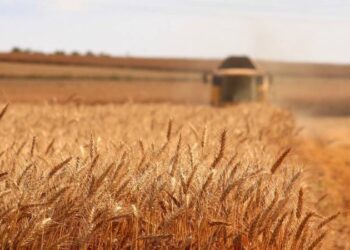 Çiftçi toprağa değil, borca çalışıyor