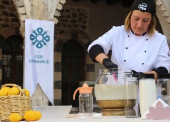 Coğrafi işaretle tescillenen "Cizre limonatası" tanıtıldı