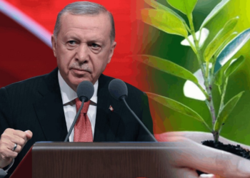 Cumhurbaşkanı Erdoğan'dan Dünya Çevre Günü Mesajı