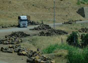 DEM Parti: Demokratik toplum doğanın korunma mücadelesiyle bütündür