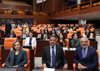 DEM Parti: Kürt sorununun demokratik çözümü paketlere sığdırılamaz