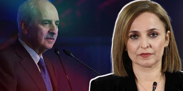 DEM Parti Sözcüsü Ayşegül Doğan’dan Numan Kurtulmuş’a Komisyon Çağrısı: 'Gerekeni Yapsın'
