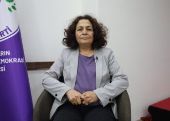 DEM Partili Arife Çınar: Bu süreçte Meclis'in tatile girmesi sorundur