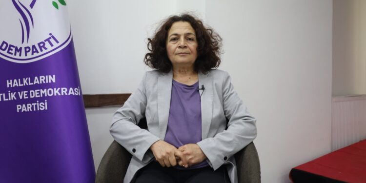 DEM Partili Arife Çınar: Bu süreçte Meclis'in tatile girmesi sorundur