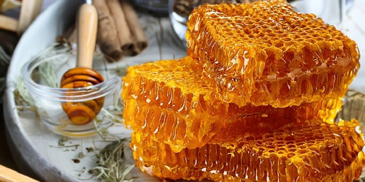 Doğu Karadeniz'in 5 aylık bal ihracatı 1 milyon doları aştı