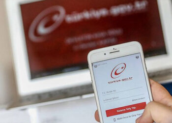 E-Devlet'e girenler en çok neleri aradı, hangi hizmetler kullanımda ilk sırada?