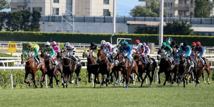 Gazi Koşusu Heyecanı Bugün Yaşanacak! Dev Ödül