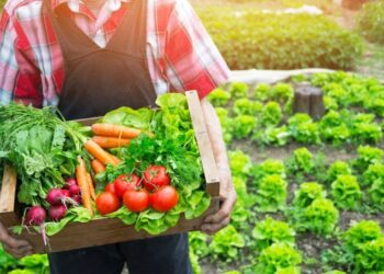 Her Yıl 600 Milyon Kişi Bununla Savaşıyor...