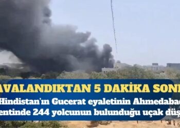 Hindistan’da 244 kişinin olduğu uçak düştü
