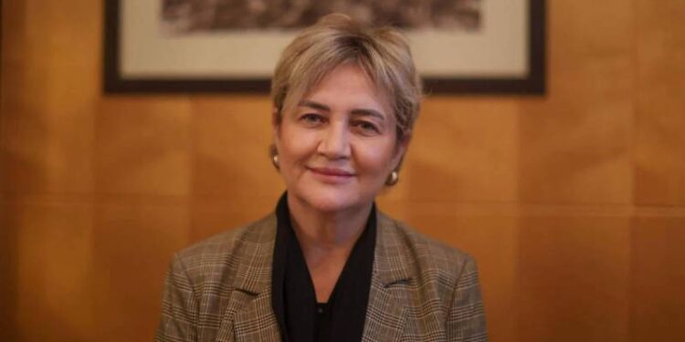 İBB tutuklusu İpek Elif Atayman'ın oğlu, 7 saatlik yol gitti; annesi ile görüştürülmedi!