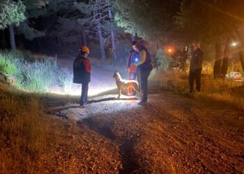 İstanbul'da Esrarengiz Olay! Ormana Girdi, Bir Daha Haber Alınamadı