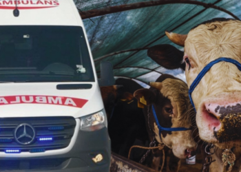 İstanbul'da Kurban Bayramı'nın İlk Gününde 829 Kişi Hastanelik Oldu: 1 Kişi Hayatını Kaybetti