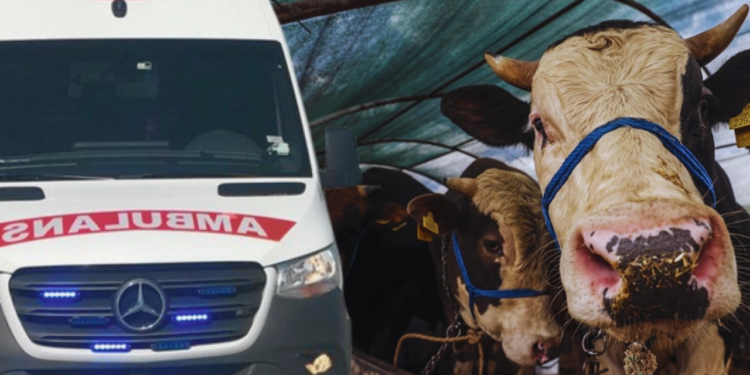 İstanbul'da Kurban Bayramı'nın İlk Gününde 829 Kişi Hastanelik Oldu: 1 Kişi Hayatını Kaybetti