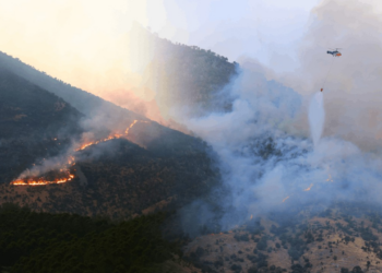Kahramanmaraş'taki Orman Yangını İki Gündür Sürüyor