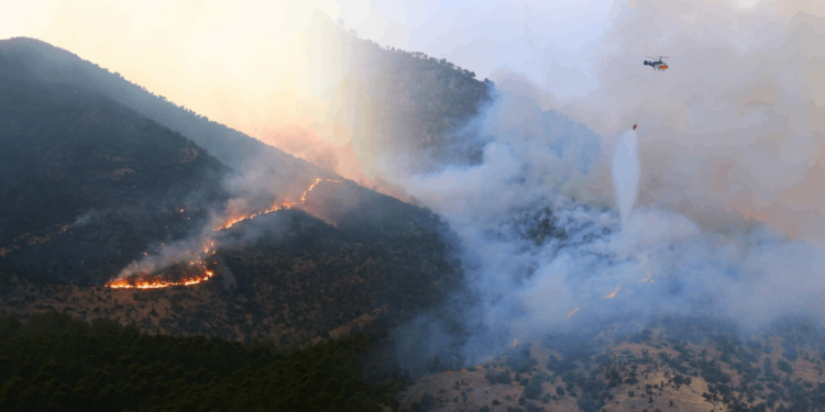Kahramanmaraş'taki Orman Yangını İki Gündür Sürüyor