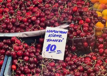 "Kirazı üreticiden 40 liraya alıp, markette tüketicilere 750 liradan satıyorlar"