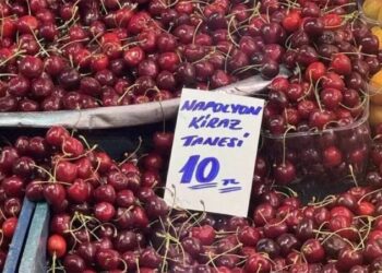 Kirazın kilosu 500, tanesi 10 lira oldu