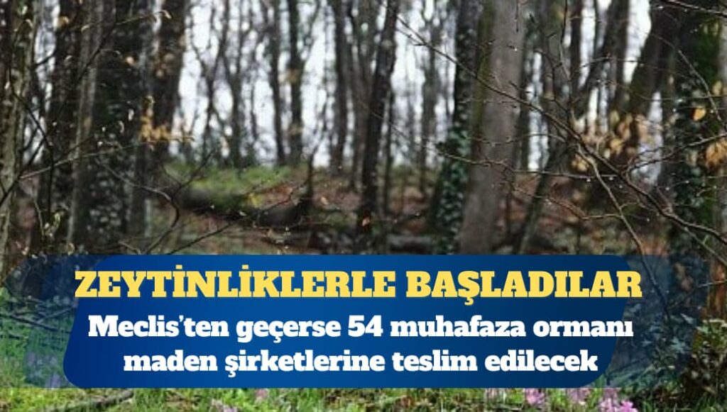 Maden Kanunu’ndaki değişiklik Meclis’ten geçerse 54 muhafaza ormanı kıyıma açılacak