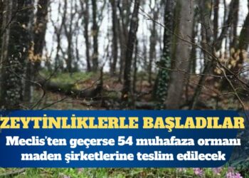 Maden Kanunu’ndaki değişiklik Meclis’ten geçerse 54 muhafaza ormanı kıyıma açılacak