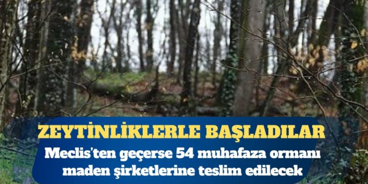 Maden Kanunu’ndaki değişiklik Meclis’ten geçerse 54 muhafaza ormanı kıyıma açılacak