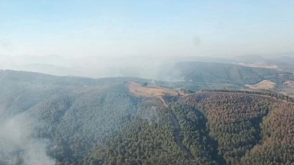 Manisa'daki orman yangını 3'üncü gününde; havadan ve karadan müdahale sürüyor