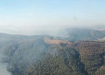 Manisa'daki orman yangını 3'üncü gününde; havadan ve karadan müdahale sürüyor