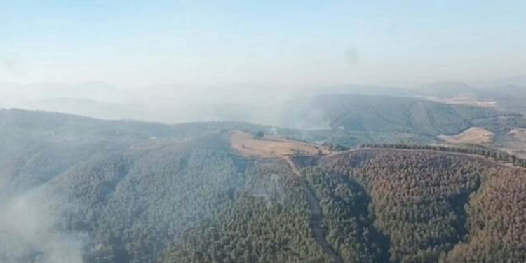 Manisa'daki orman yangını 3'üncü gününde; havadan ve karadan müdahale sürüyor