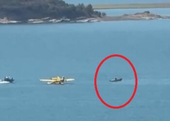 Orman yangınına müdahale eden uçak su alırken kırıma uğradı, göle düştü!