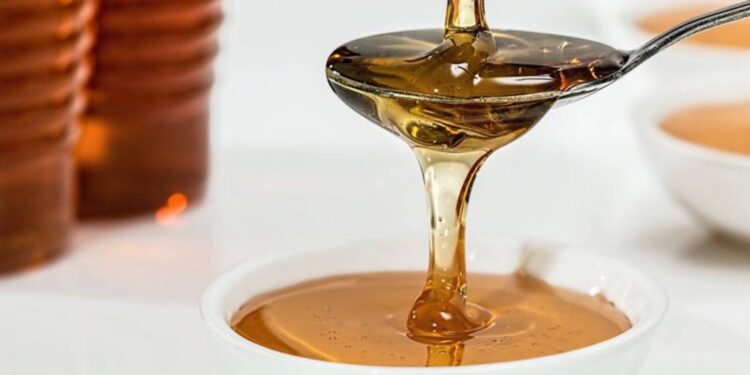 Rize'de 'deli bal'dan zehirlenen arıcı ölümden döndü