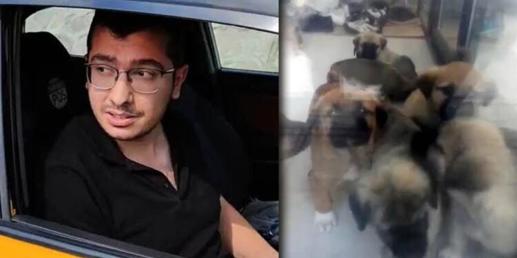 Sahiplendi, İşkence Etti, Katletti... Cani Doktorun Telefonundan Tam 43 Bin Müstehcen Görüntü Çıktı