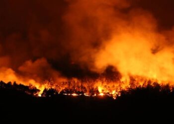 Sakarya’daki orman yangını Bilecik'e sıçradı; 300 kişi tahliye edildi!