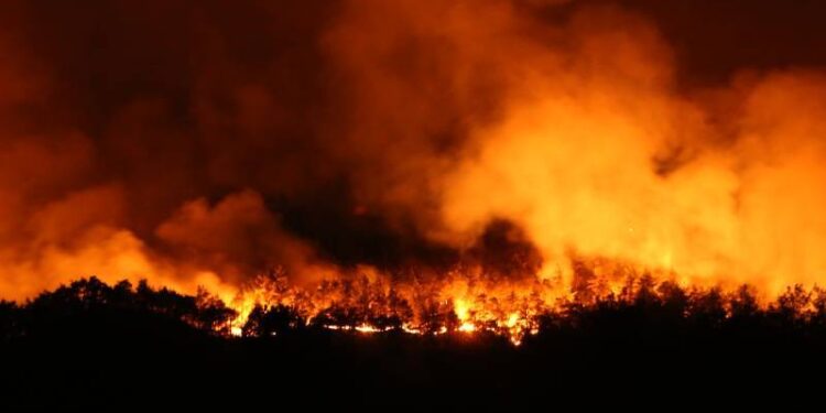 Sakarya’daki orman yangını Bilecik'e sıçradı; 300 kişi tahliye edildi!