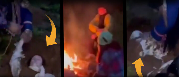 Satanist baskını: İki kişiyi diri diri toprağa gömerken yakalandılar