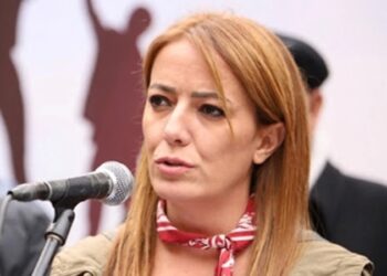 Sınır Tanımayan Gazeteciler (RSF), gazeteci Ayşemden Akın için acil koruma talep etti