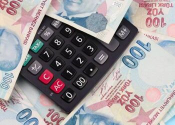 TÜİK veri saklayan bir kurum, milyonlarca emekçinin düşük ücret almasında vebali var!
