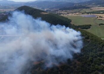 Tokat'ta Orman Yangını! 20 Dönüm Küle Döndü