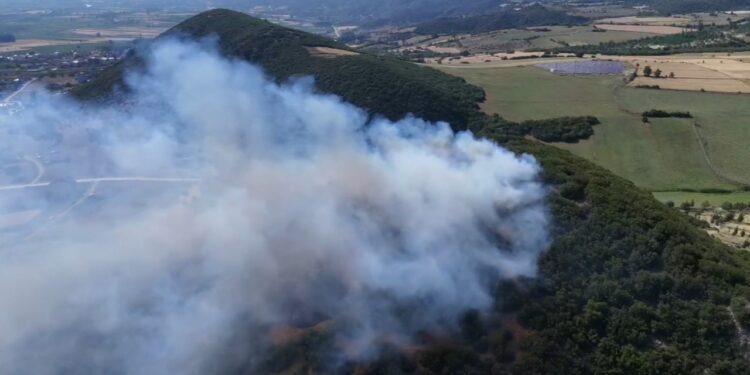 Tokat'ta Orman Yangını! 20 Dönüm Küle Döndü