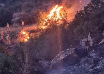 Türkiye Yangın Alarmında! Ağaçlar Kül Oldu, Köyler Boşaldı…Felaket Büyüyor