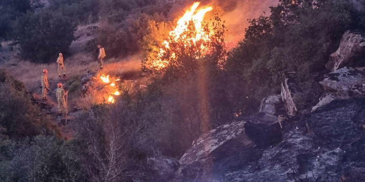 Türkiye Yangın Alarmında! Ağaçlar Kül Oldu, Köyler Boşaldı…Felaket Büyüyor