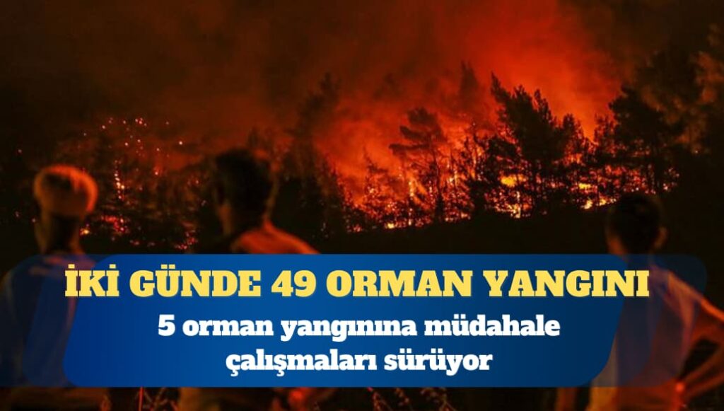 Türkiye’de iki günde 49 orman yangını çıktı
