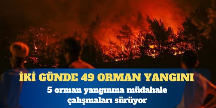 Türkiye’de iki günde 49 orman yangını çıktı